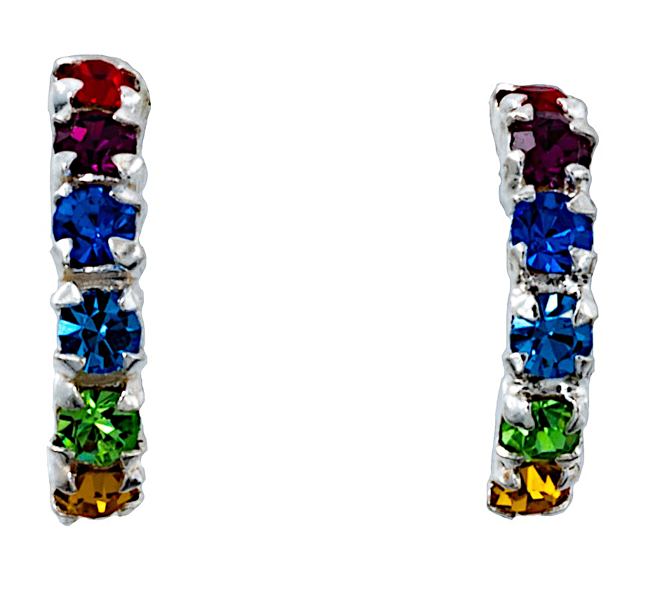 Silver Bar S rainbow earrings 2897