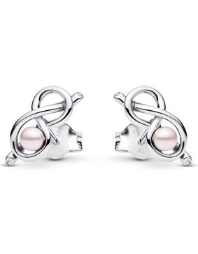 Pandora Timeless Infinity earrings 293761C01