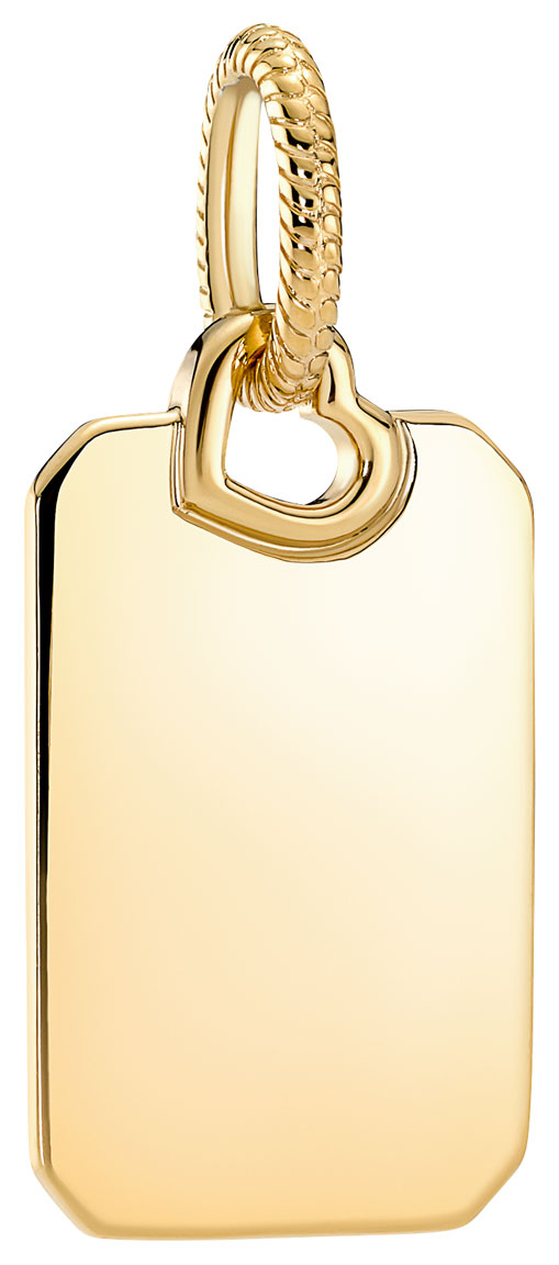 Pandora Engravable Rectangle Tag pendant 368611C00