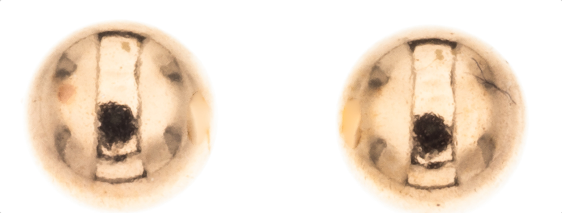 Silver Bar ballearrings 6 mm goldplated 5664