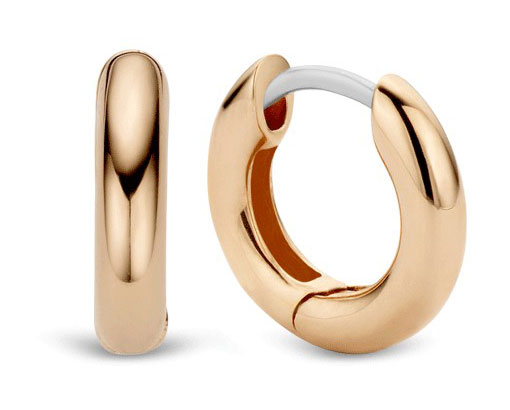 TI SENTO Earrings 7210RS