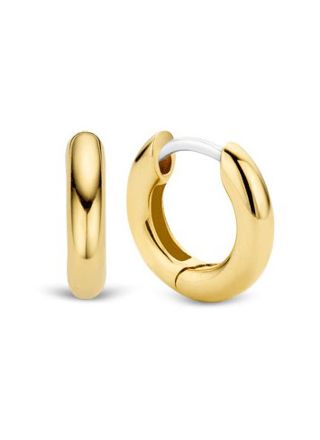 TI SENTO Earrings 7210YS