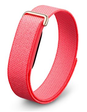 Google Fitbit Air Berry