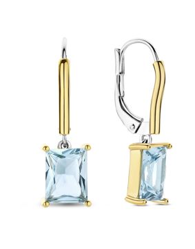 TI SENTO earrings 78064TY