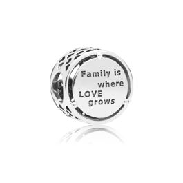 Pandora Family Roots 797590 charm - watchesonline.com