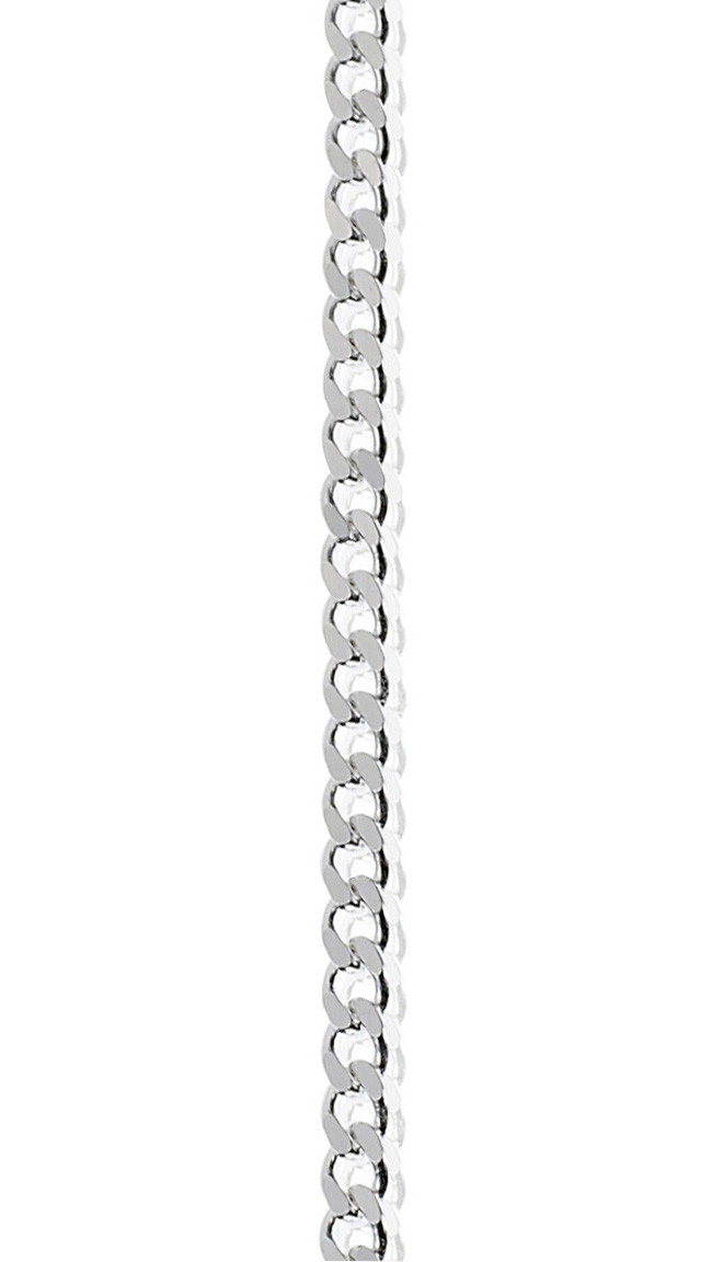 Silver Curb Chain Necklace