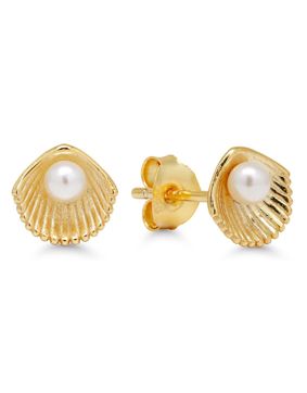 Beat of Love silver earrings BOL-E1869PGP