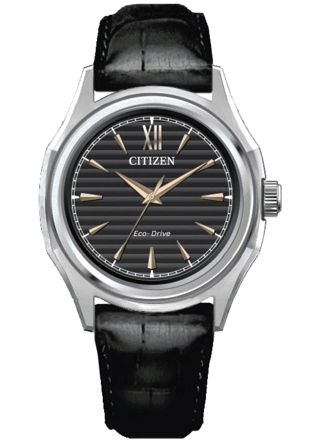 Citizen Classic Elegant 3 Hands Ladies Eco-Drive black FE2110-14E