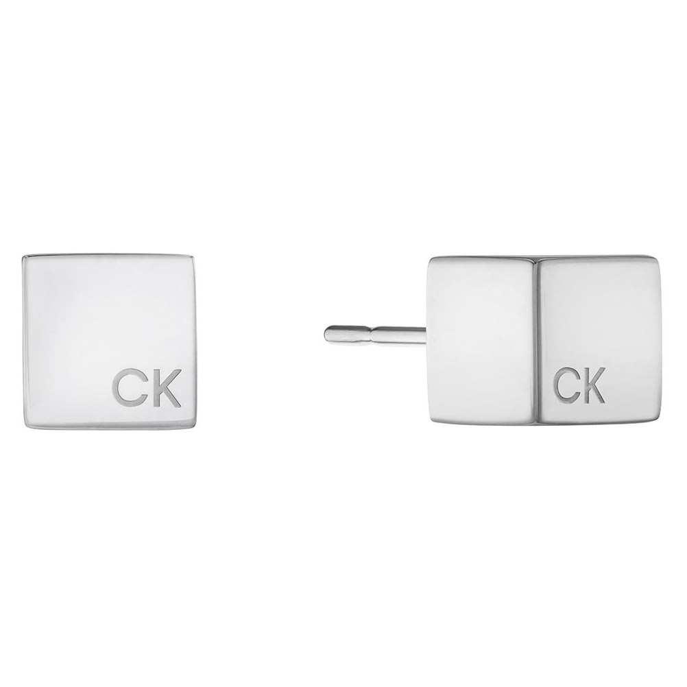 Calvin Klein Meridian earrings 35000245
