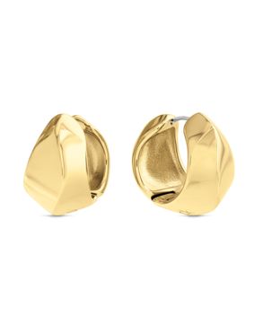 Calvin Klein Sculpted earrings 35000820