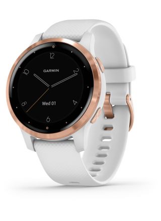 Buy Garmin Vivoactive 4 Smart Watch - Silver with Shadow Grey Band | Harvey  Norman AU