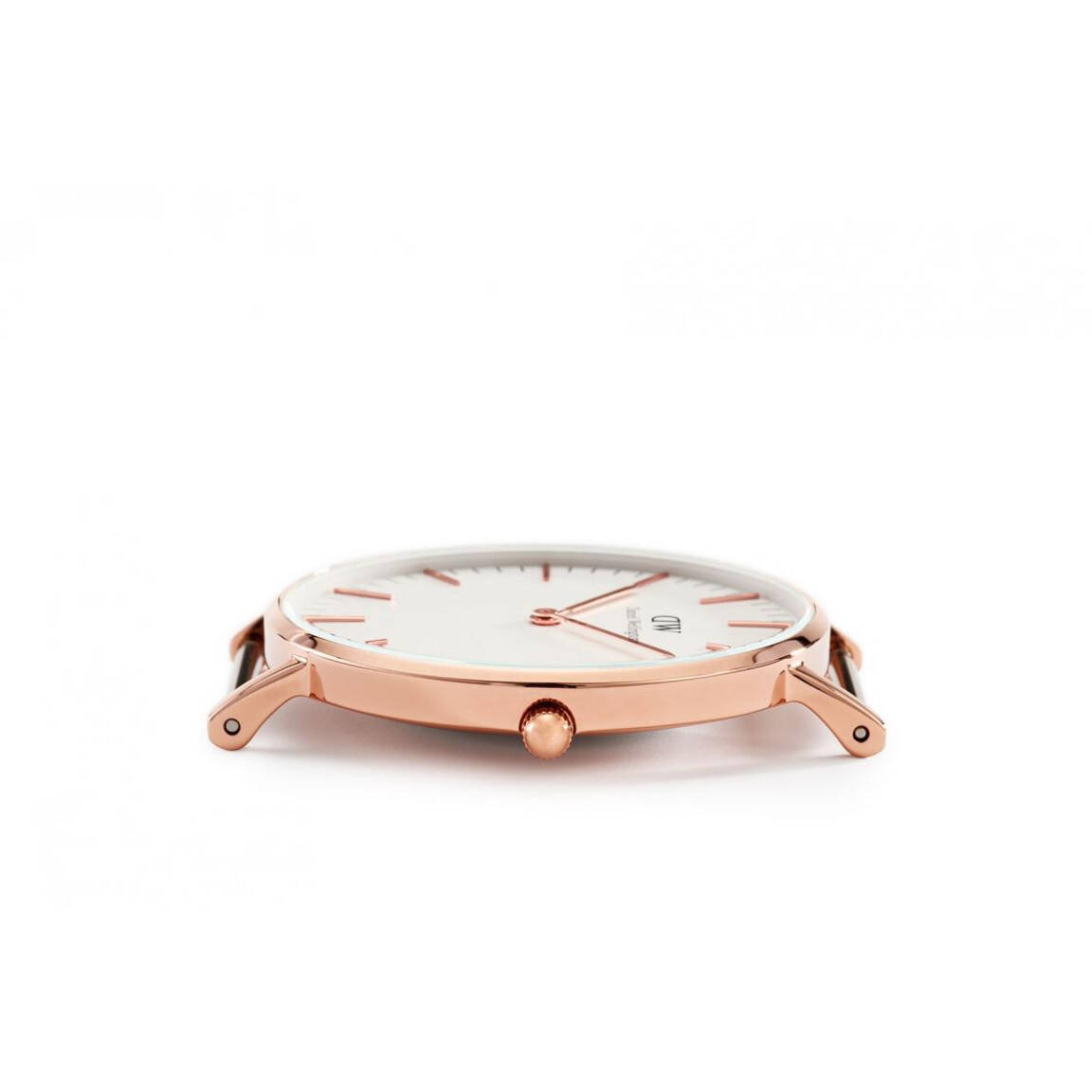 Daniel Wellington Petite Cornwall Rose White 36mm DW00100259 watchesonline