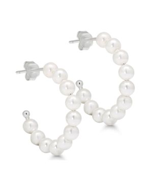 Silver earrings E-20839P
