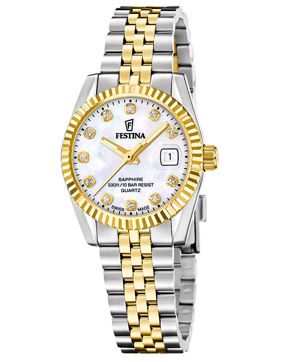 Festina Swiss Classic Steel F20088/1