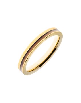 HAVU titanium ring with wood Kuura gold
