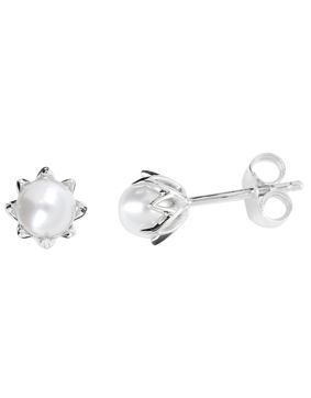 Kohinoor Rosa pearl earrings 133-260V-5