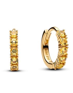 Pandora Timeless earrings 263849C01