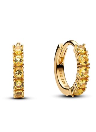 Pandora Timeless earrings 263849C01