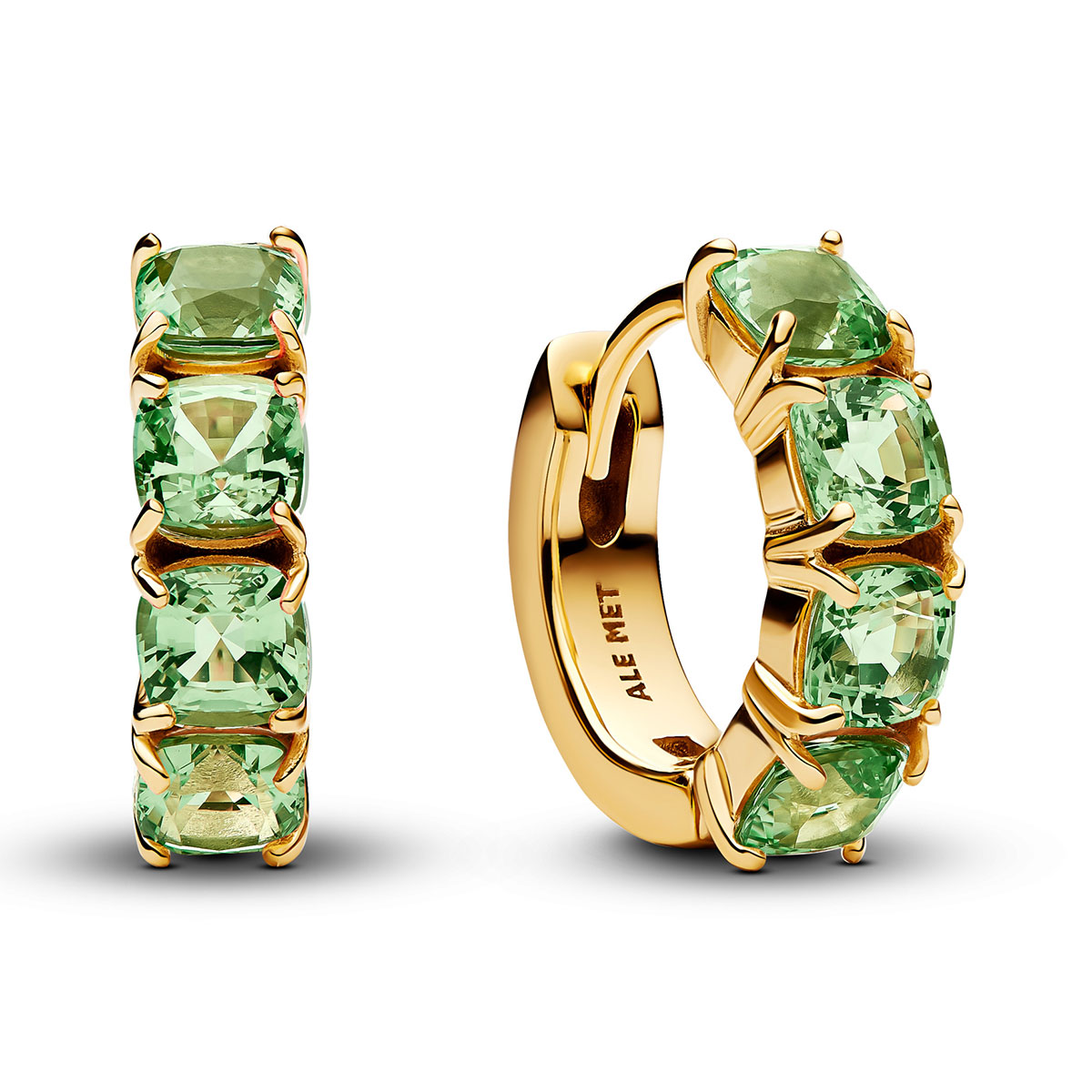 Pandora Timeless earrings 263851C01