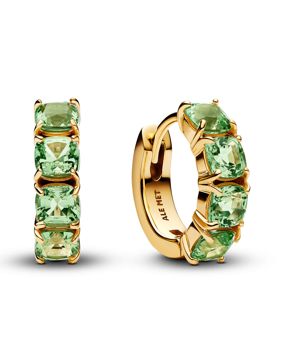 Pandora Timeless earrings 263851C01