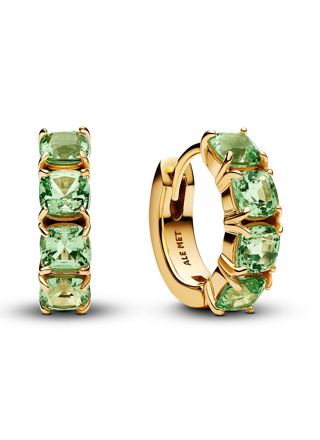 Pandora Timeless earrings 263851C01