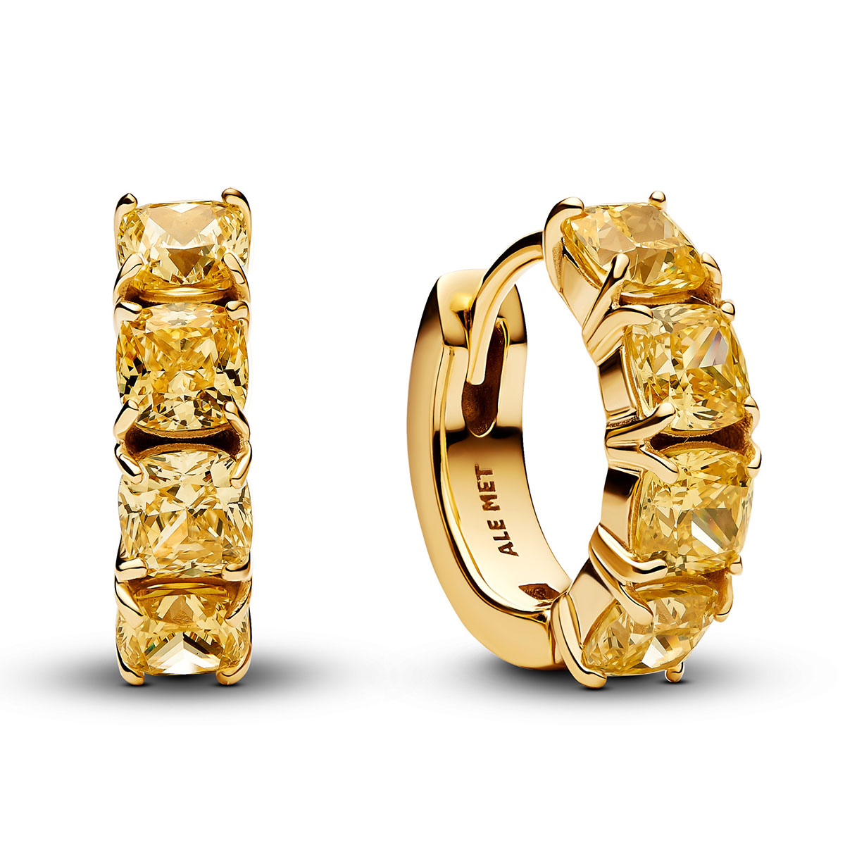 Pandora Timeless earrings 263851C02