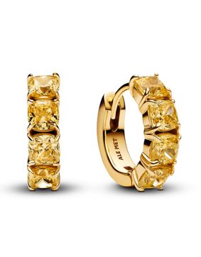 Pandora Timeless earrings 263851C02