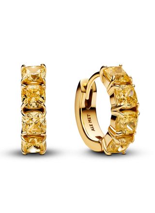 Pandora Timeless earrings 263851C02