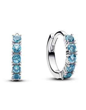 Pandora Timeless earrings 293849C01