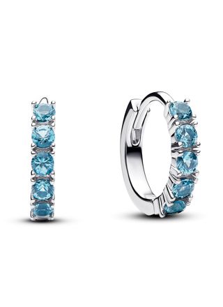 Pandora Timeless earrings 293849C01