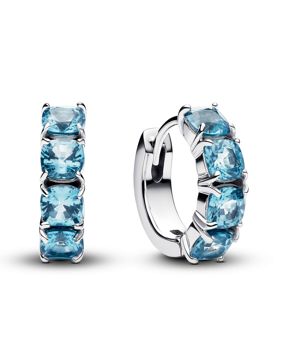 Pandora Timeless earrings 293851C01