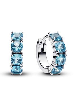 Pandora Timeless earrings 293851C01