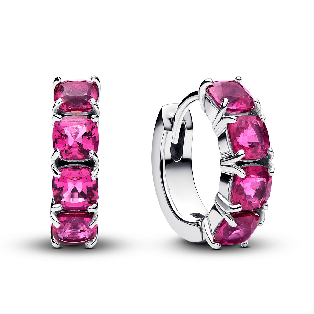 Pandora Timeless earrings 293851C02