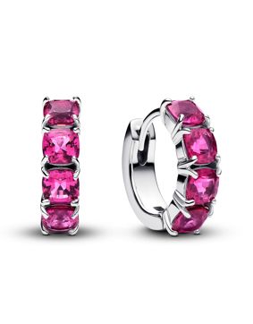 Pandora Timeless earrings 293851C02