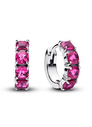 Pandora Timeless earrings 293851C02