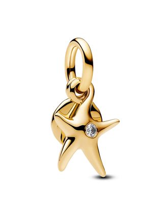 Pandora Moments charm 763892C01