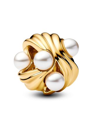 Pandora Moments charm 763915C01