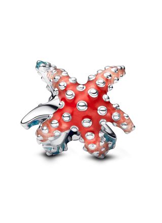 Pandora Moments charm 793817C01