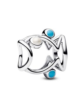 Pandora Moments charm 793819C01