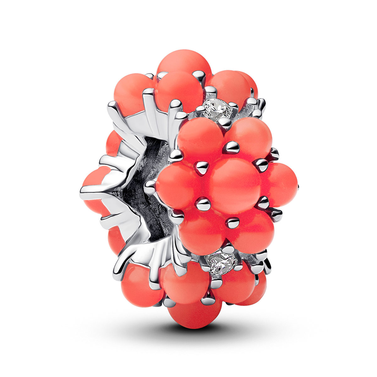 Pandora Moments charm 793897C01