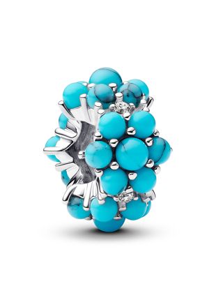 Pandora Moments charm 793897C02