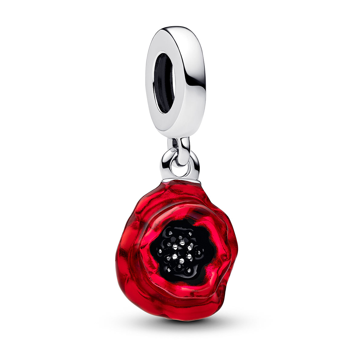 Pandora Moments charm 793917C01