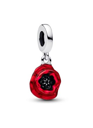 Pandora Moments charm 793917C01