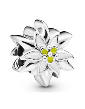 Pandora Edelweiss charm 798243ENMX