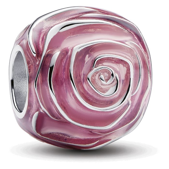 Pandora Moments hela 793212C01