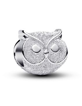 Pandora Moments silver Owl charm 794525C00