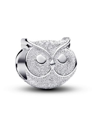 Pandora Moments silver Owl charm 794525C00