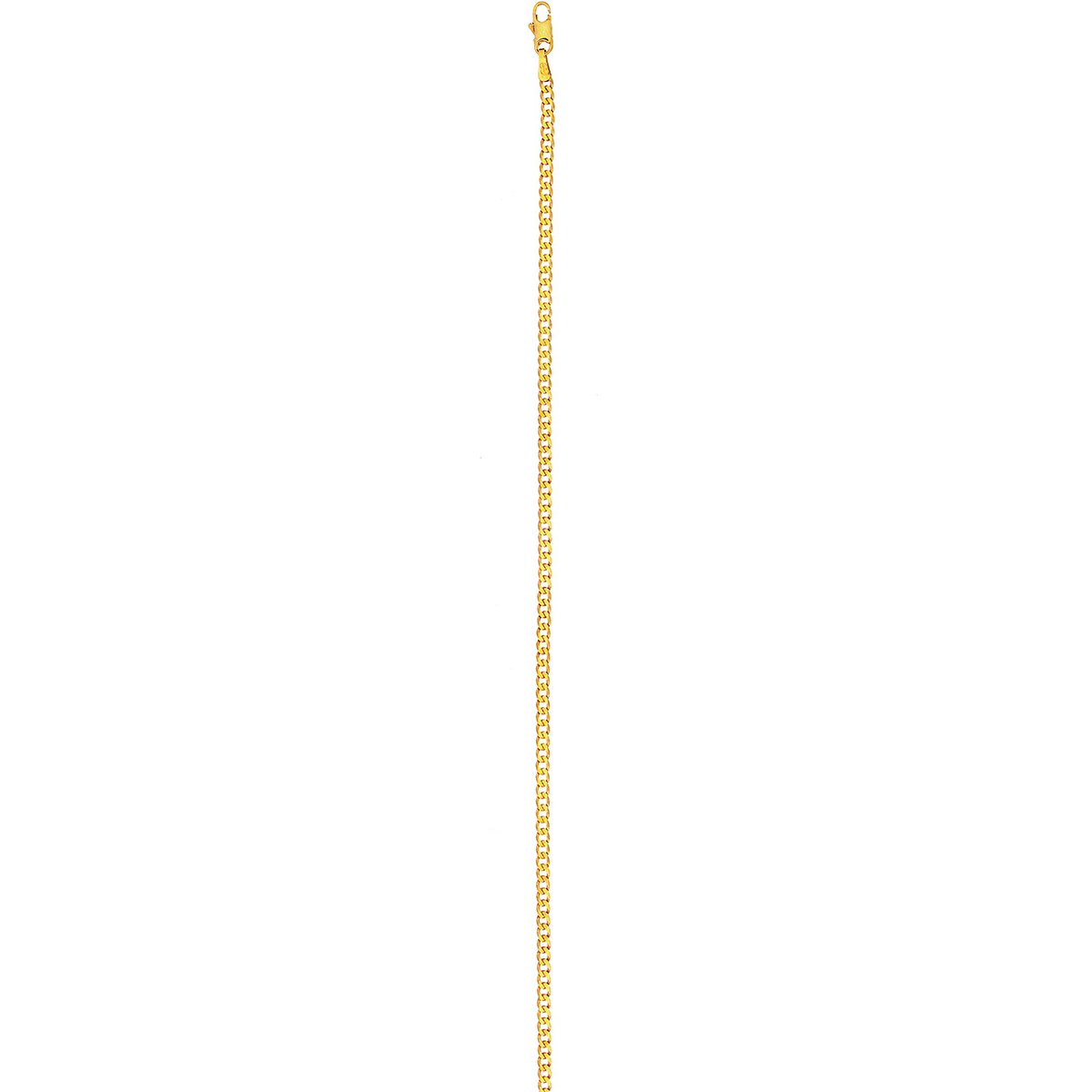 Lykka Basics gold curb chain 2.4mm 50cm
