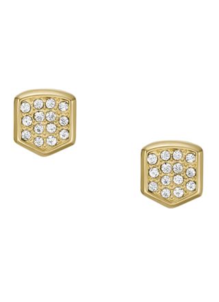 Fossil Heritage earrings JF04532710