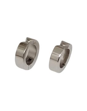 Bosie earrings ST hinged, push clasp STKK15032